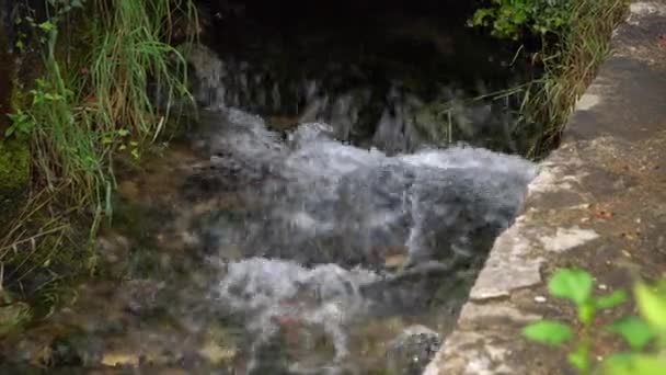 Zicht op de stromende waterstroom in een bergstroom — Stockvideo