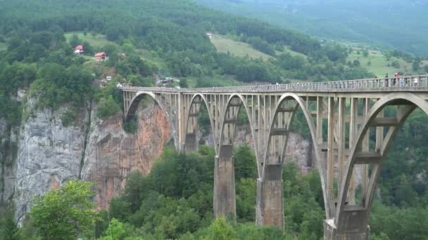 Tara Canyon Durdevica most nad rzeką Tarą. - Czarnogóra. zapis wideo — Wideo stockowe