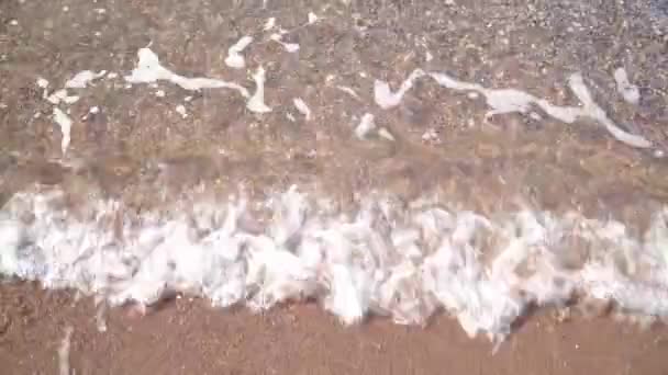 Чистая морская вода у берега. серфинг на пляже — стоковое видео