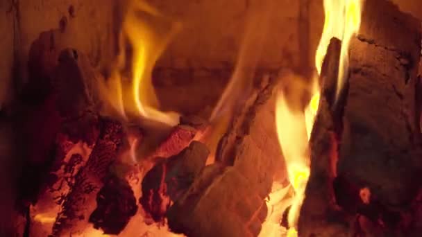 Pálení dřeva v krbu v chladné zimě — Stock video