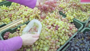 Kız süpermarkette yeşil üzüm seçiyor.