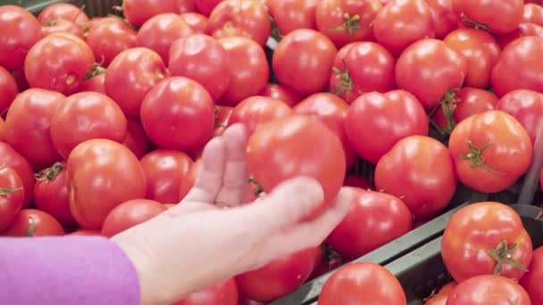 Mulher escolhe tomates frescos na loja — Vídeo de Stock