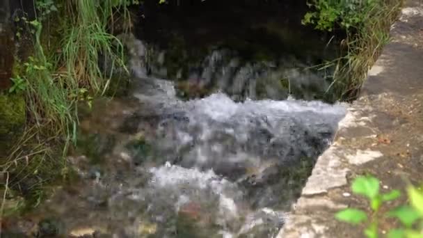 Zicht op de stromende waterstroom in een bergstroom — Stockvideo