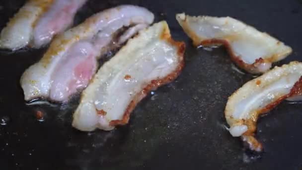 Időszakos szalonna. Bacon közelkép sült egy serpenyőben — Stock videók