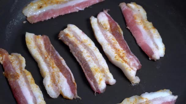 Timelapse bacon. Bacon close-up fried in a frying pan — 비디오