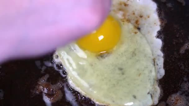 Timelapse faire frire des œufs. Gros plan des œufs dans une poêle 