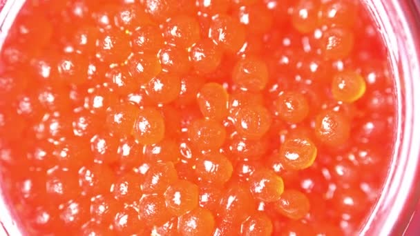 Caviar rojo de cerca. rotación del caviar en el tazón — Vídeos de Stock