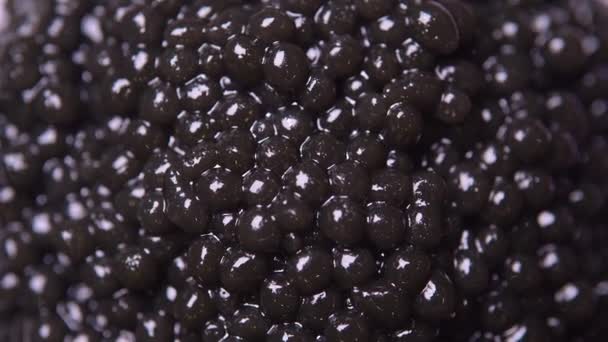 Háttér fekete természetes kaviár közelről — Stock videók