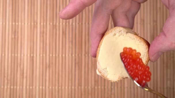 Vörös kaviárt szórok kenyérre és vajra. főzőcskézők — Stock videók