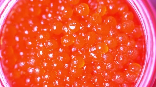 Caviar vermelho close-up. rotação do caviar na tigela — Vídeo de Stock