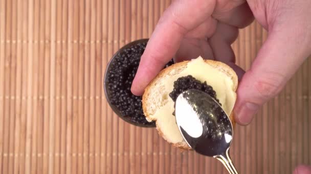 Esparcir caviar negro sobre el pan y la mantequilla. apicultores de cocina — Vídeo de stock