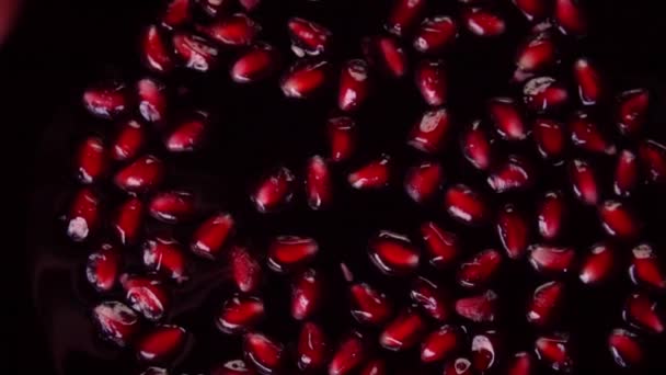 Rotatie van granaatappelzaden close-up — Stockvideo