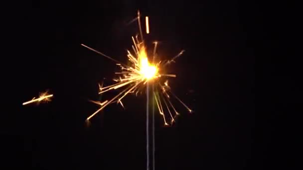 Tűzijáték Sparkler közelkép egy fekete háttér. lassított felvétel — Stock videók