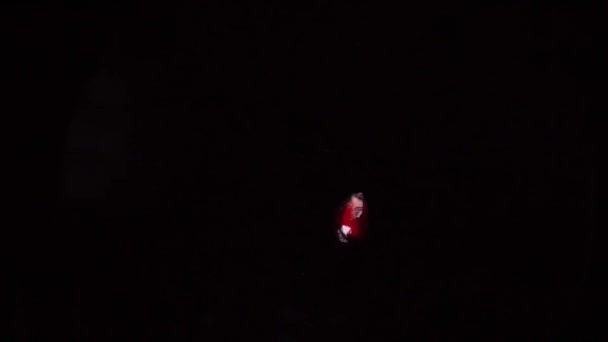 Falling pomegranate seeds close up — Stock Video