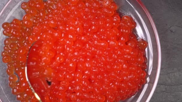 Tazón de caviar rojo. cuchara el caviar rojo está ganando — Vídeos de Stock