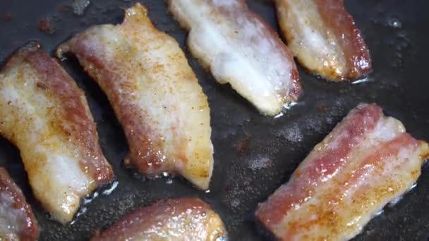 Bacon close-up frito em uma frigideira — Vídeo de Stock