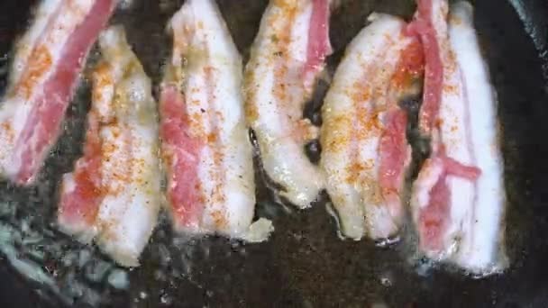 Timelapse bacon. Bacon close-up fried in a frying pan — 비디오