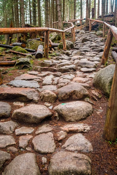 mountain path lined with stones in the forest