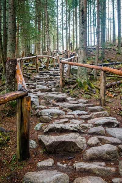 mountain path lined with stones in the forest