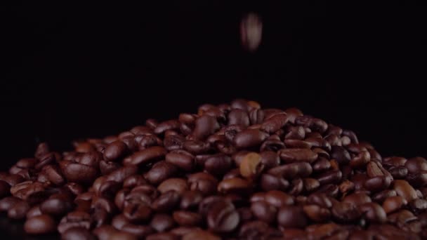 Roasted coffee beans falling on black background close-up — 비디오