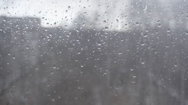 유리 위에 빗방울을 클로즈업 한 모습 — 비디오