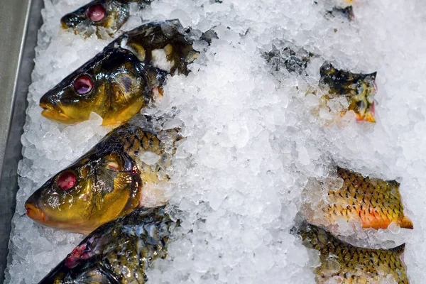 Schłodzone ryby na liczniku supermarketów zbliżenie — Zdjęcie stockowe