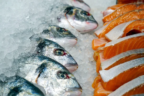 Poissons de mer frais et réfrigérés sur le marché — Photo