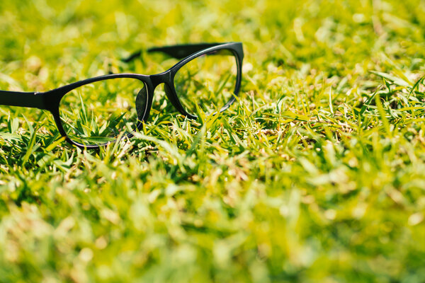 Glasses lay on the grass in the sunshine.