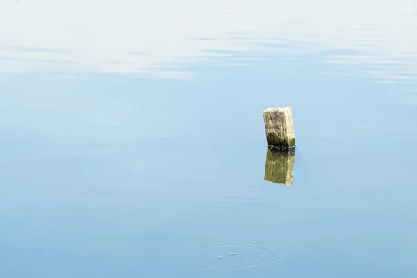 Tocón en el agua . — Foto de Stock