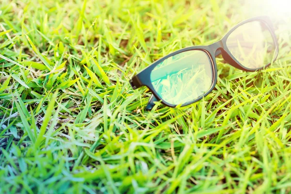 Bril lag op het gras in de zon. — Stockfoto
