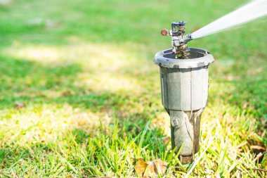 Sabah yeşil çim sulama.