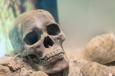 Eski insan kafatası yere yat.