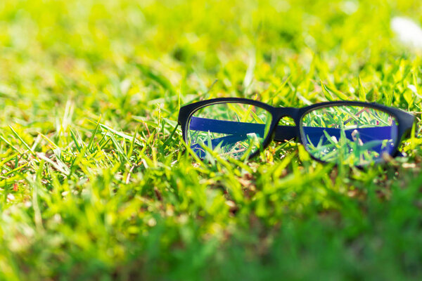 Glasses lay on the grass in the sunshine.