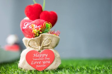 Çim outsid bir torba içinde kalp şeklinde Sevgililer günü hediyeleri