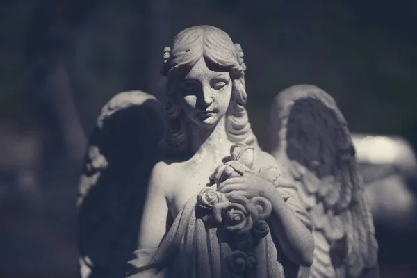 Gyönyörű angyal szobor a sötétben. — Stock Fotó