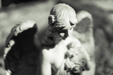 Karanlıkta kanatlı bir melek heykeli.