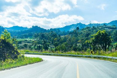 Yolun dağ ve orman güneş ışığı altında aracılığıyla.