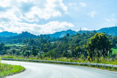 Yolun dağ ve orman güneş ışığı altında aracılığıyla.