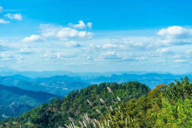 Yeşil dağ parlak mavi gökyüzünde.