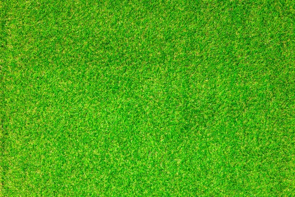 Bright green grass on the football field.