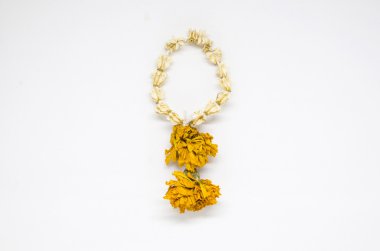 Yasemin garland isolead beyaz arka plan üzerinde