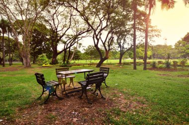 Park bankları, dinlenme bankları doğa