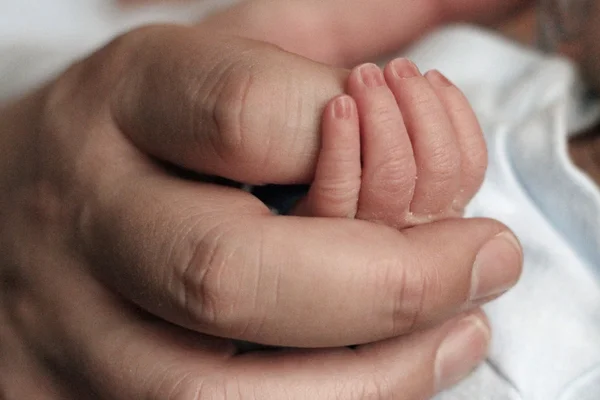 Father holding child hand — Stock Photo, Image