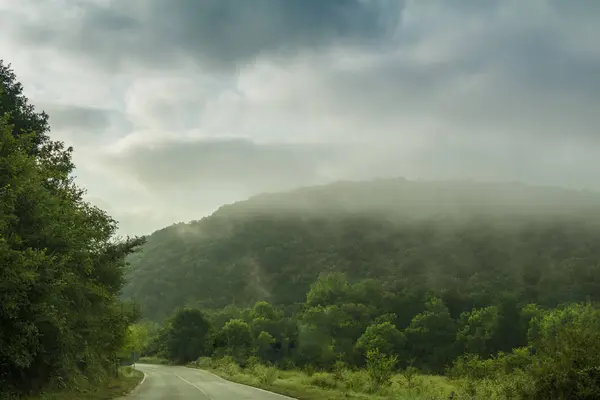 Paisaje con bosque y montaña — Foto de Stock