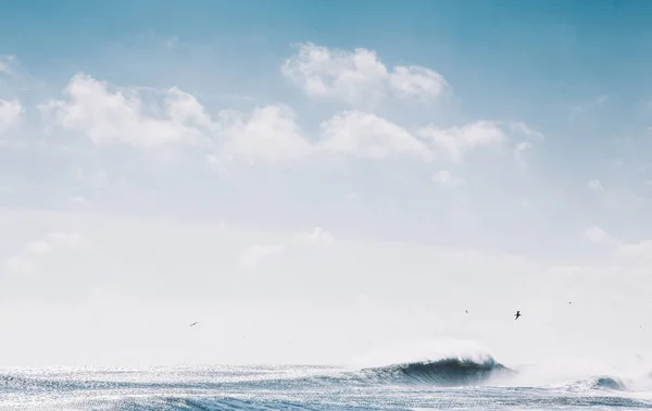 Paisaje marino con gaviotas y olas — Foto de Stock