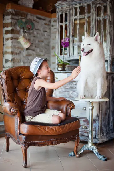 Pojke som leker med samojedvalpar hund — Stockfoto