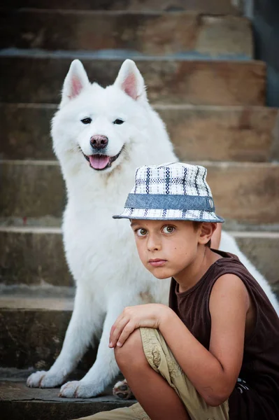 Portrét chlapce a jeho samojed — Stock fotografie