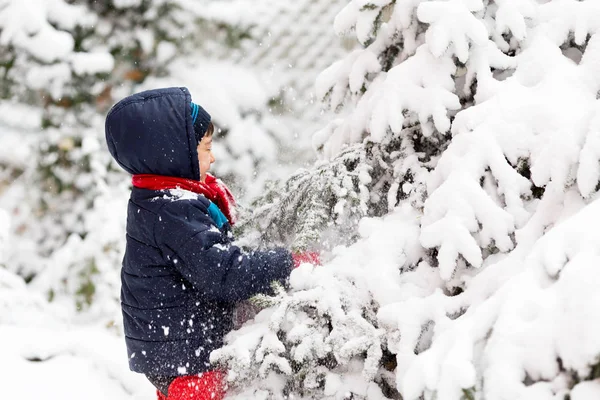 Ragazzo che gioca fuori in inverno — Foto Stock