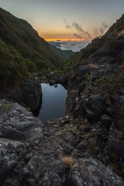 Γραφική Θέα Μαγευτική Δάσος Δαφνών Madeira Πορτογαλία — Φωτογραφία Αρχείου