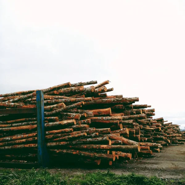 Stos Bali Drewnianych Pochmurny Dzień Stany Zjednoczone Ameryki — Zdjęcie stockowe
